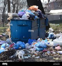 Best Hoarding Cleanup  in Roanoke, IN