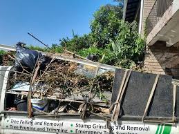 Best Construction Debris Removal  in Roanoke, IN
