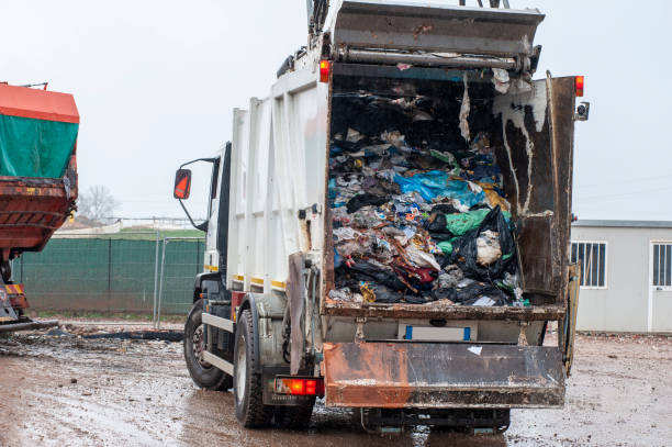 Best Residential Junk Removal  in Roanoke, IN